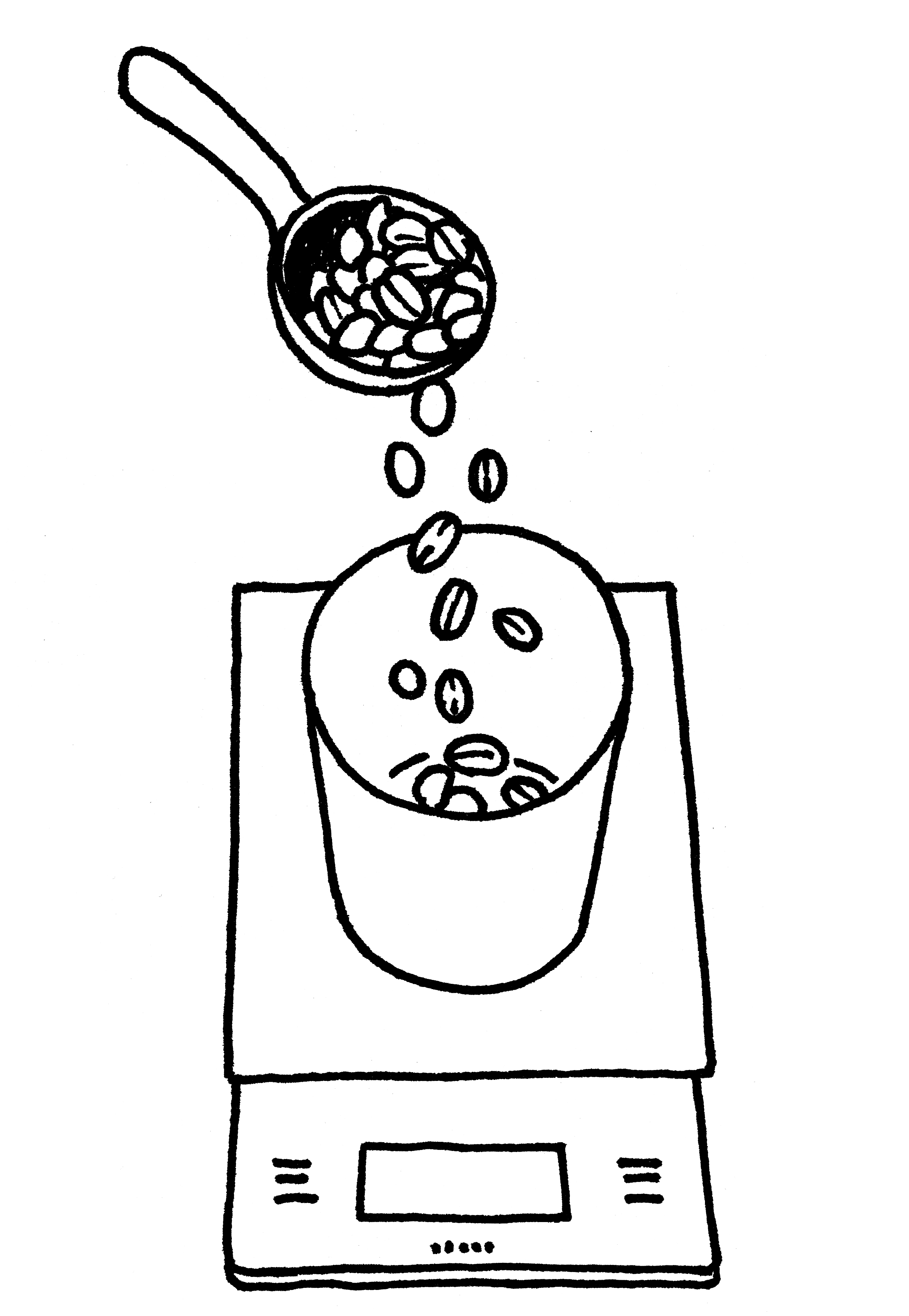 豆を計量する
